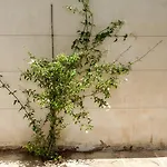 Galluccio With Swimming Pool *